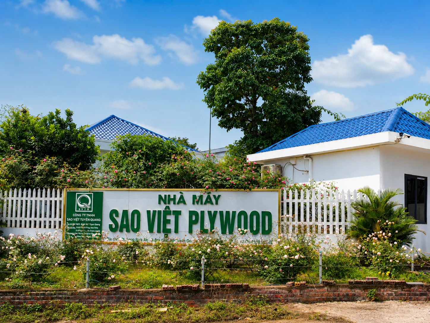 Vietnam plywood factory pressing area